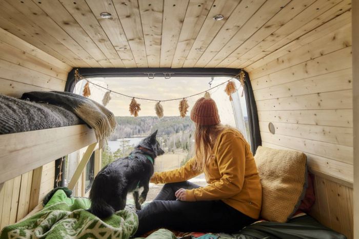 Анатомічна шлейка для собак Hurtta Casual Y-harness 70-80 Бірюзовий