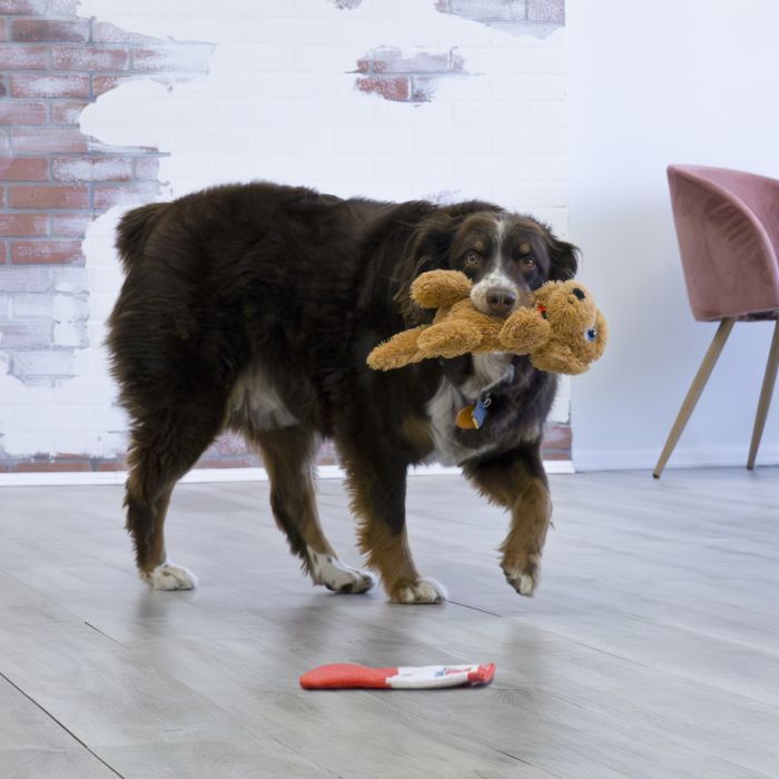 Іграшка для собак Kong Comfort Pups Goldie M