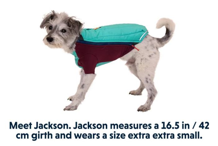 Зимова куртка для собак Ruffwear Powder Hound™ XS Бірюзовий