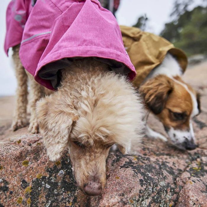 Дощовик для собак Hurtta Monsoon coat II ECO Рожевий 65