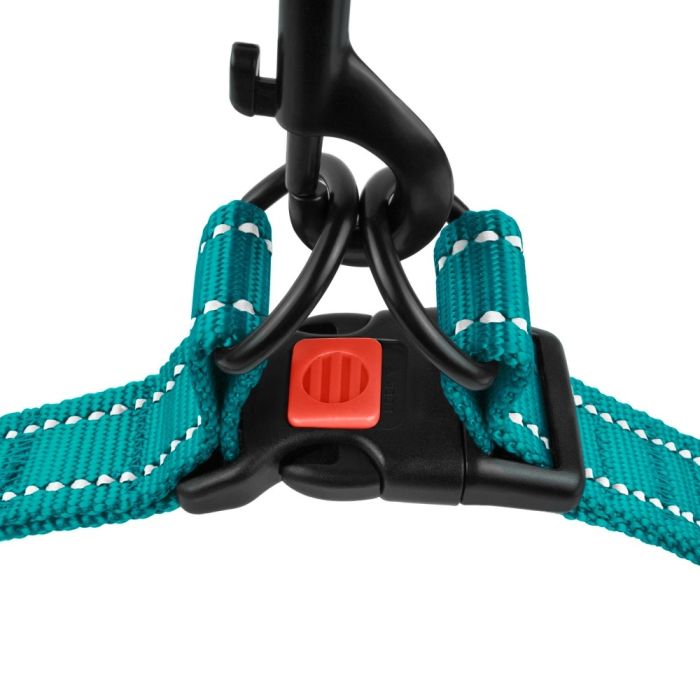 Шлея для собак BronzeDog Бірюза пластиковий фастекс 1225 70Т 20мм (45-56см)