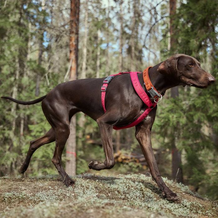 Нашийник для собак Hurtta Casual ECO 35-45 Коричневий