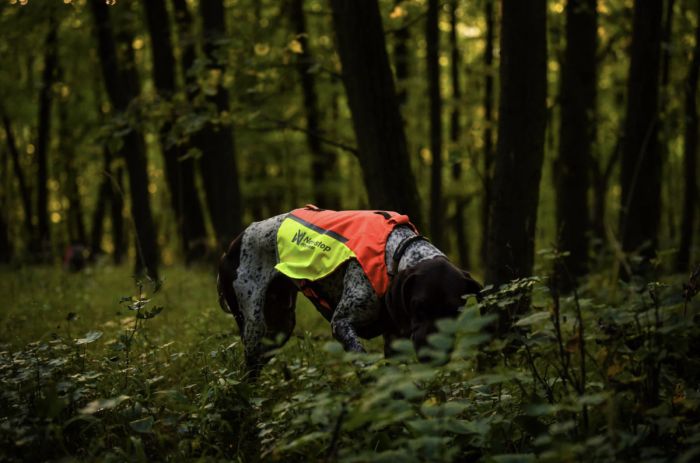 Жилет для собак Non-stop dogwear Protector vest 2.0 Помаранчевий M