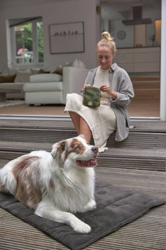 Складаний килим для собак Palopa Alma Сірий M-L