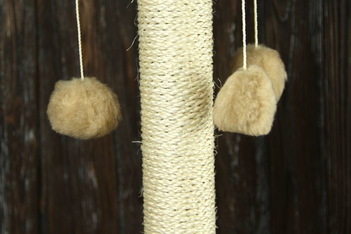 Когтеточка Арлекін, сизаль мікс