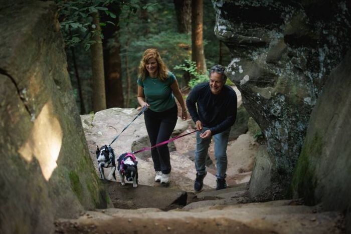 Полегшена шлейка для собак Ruffwear Hi & Light™ S 56-69 см Малиновий