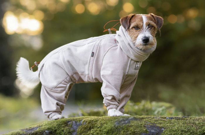 Комбінезон для собак Non-stop dogwear Trail quest fleece overall Бежевий 60