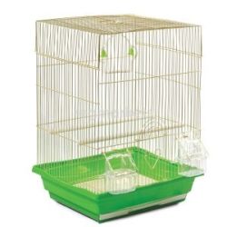 Клітка А405 Gold золото золота клітина