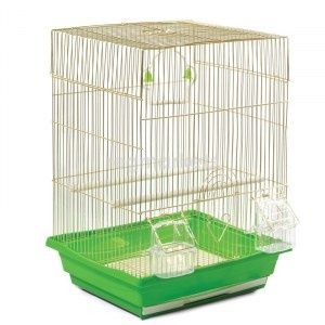 Клітка А405 Gold золото золота клітина