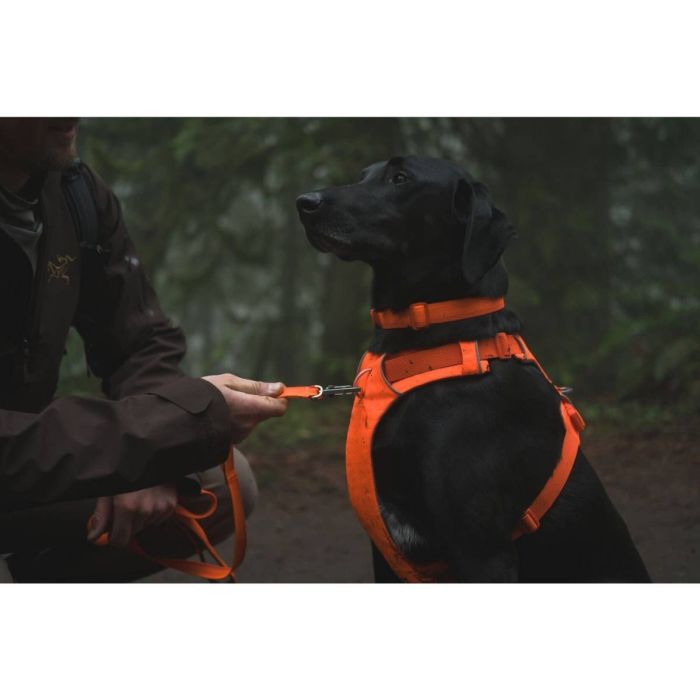 Повсякденний нашийник для собак Ruffwear Front Range™ 51-66 см Помаранчевий