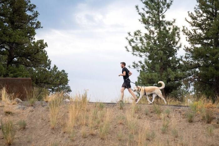 Повідець перестібка для собак Ruffwear Switchbak™ Сірий