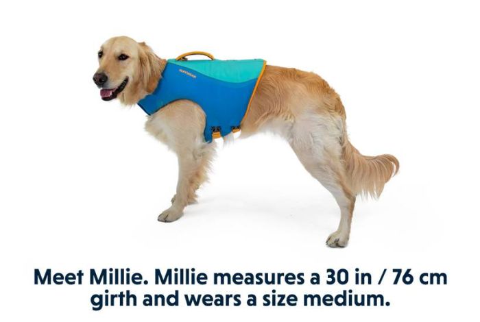 Рятувальний жилет для собак Ruffwear Float Coat™ L Синій