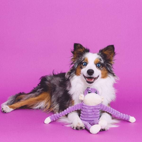 М'яка іграшка для собак мавпочка ZippyPaws Spencer Crinkle Monkey Purple Small з пищалкою
