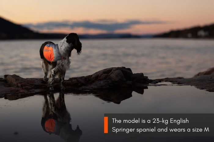 Світловідбивна попона Reflection blanket Non-stop dogwear Помаранчевий XL