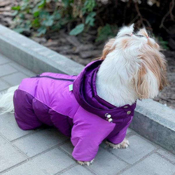 Комбінезон Волошка силікон (дівчинка) XXS