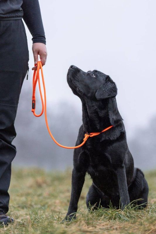 Повідець для собак Retriever leash Non-stop dogwear Помаранчевий 1,6 м/8 мм