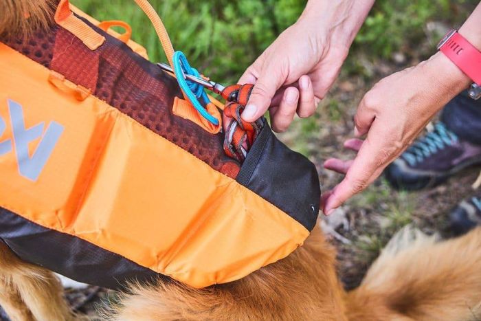 Рятувальний жилет для собак Protector life jacket Non-stop dogwear Чорний/Помаранчевий 7