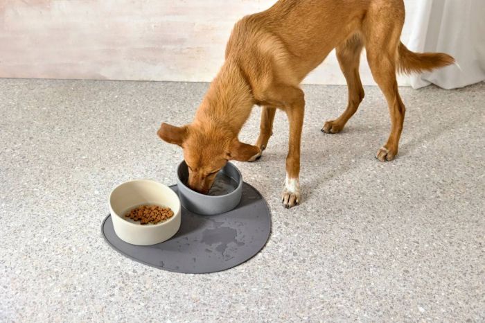 Миска для собак Palopa Cali Бежевий