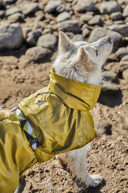 Рефлекторний дощовик для собак Hurtta Mudventure Reflective Coat 50 Жовтий