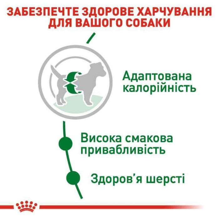 АКЦІЯ Royal Canin Mini Adult сухий корм для собак дрібних порід старше 10 місяців 7+1 кг 