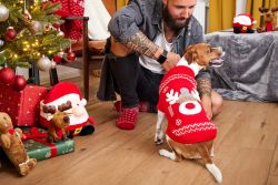 В'язаний светр для собаки Wolters Rudi Лось Руді 25 см Червоний