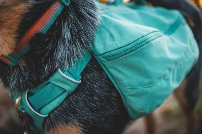 Шлейка-рюкзак для собак Ruffwear Front Range™ S Зелений