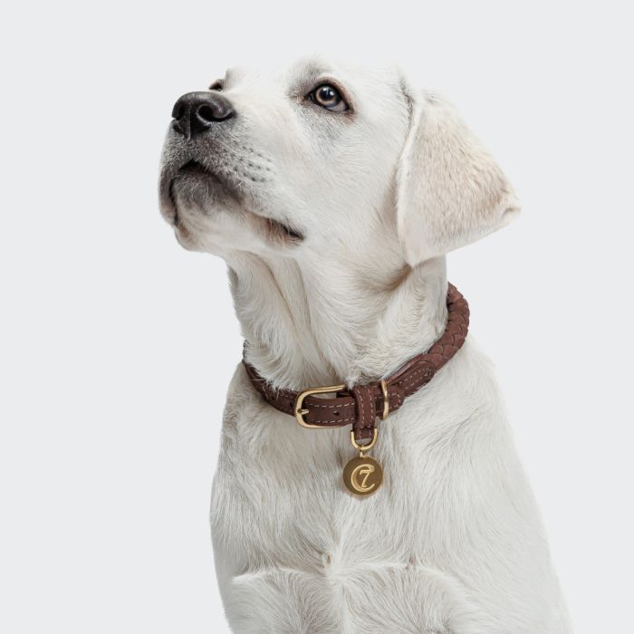Нашийник для собак Cloud7 Ravello Коричневий XL