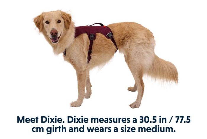 Підтримуюча шлейка для службових собак Ruffwear Web Master™ XS 43-56 см Фіолетовий