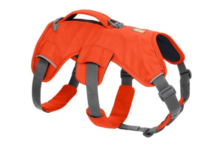 Підтримуюча шлейка для службових собак Ruffwear Web Master™ L/XL 81-107 см Помаранчевий