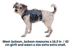 Підтримуюча шлейка для службових собак Ruffwear Web Master XXS 33-43 см Синій