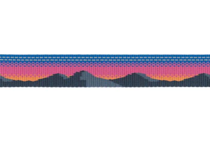 Регульований повідець для собак Ruffwear Crag EX™ Рожево-синій