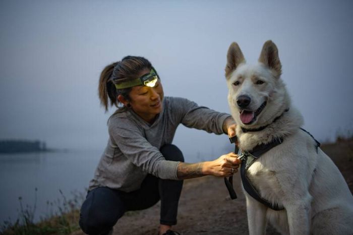 Повсякденна шлейка для собак Ruffwear Front Range® L/XL 81-107 см Сірий