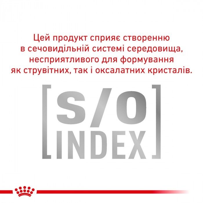 АКЦІЯ Royal Canin Diabetic при цукровому діабеті набір корму для котів 1,5 кг + 4 паучі 