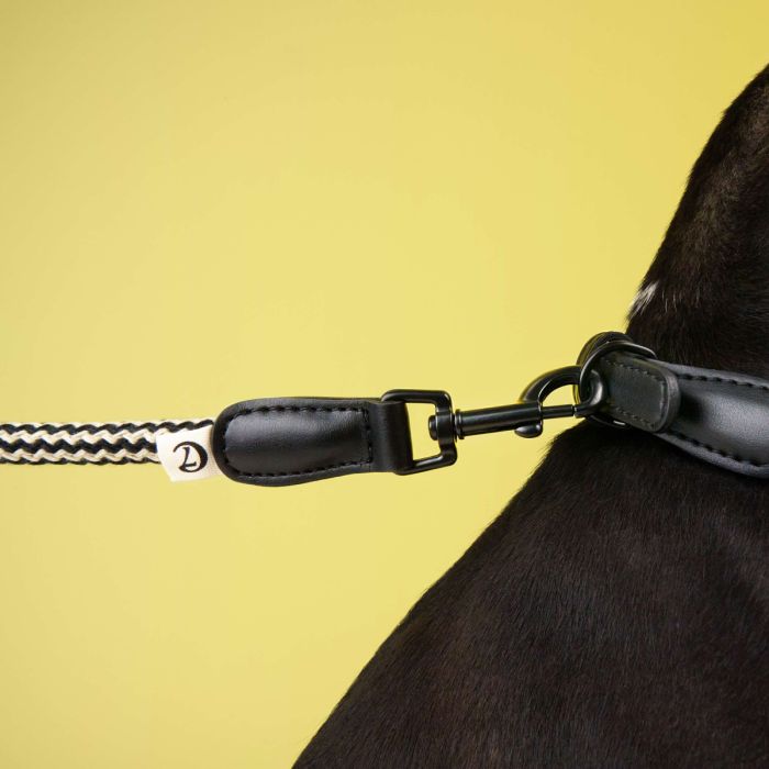 Повідець для собак Cloud7 Mauerpark Чорний L