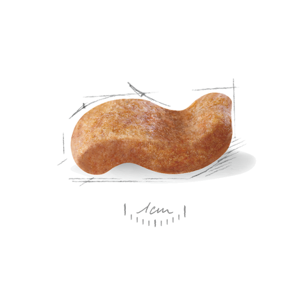 Royal Canin (Роял Канін) Boxer Adult 26 сухий корм для дорослих боксерів 3 кг