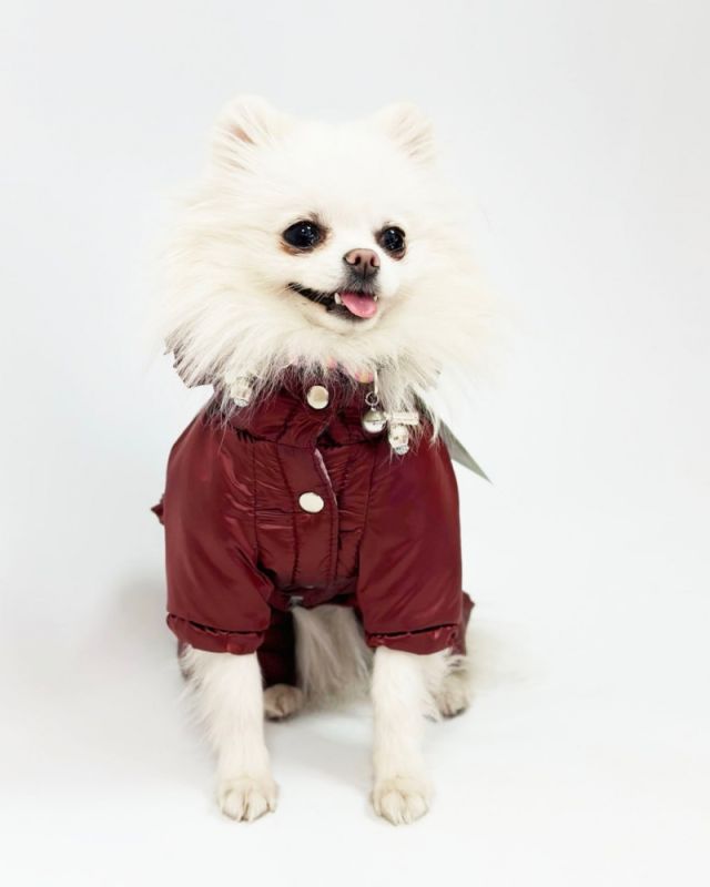 Комбінезон Принцеса на силіконі (дівчинка) S1