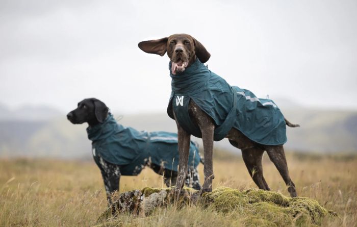 Дощовик для собак Non-stop dogwear Fjord lined Зелений 36