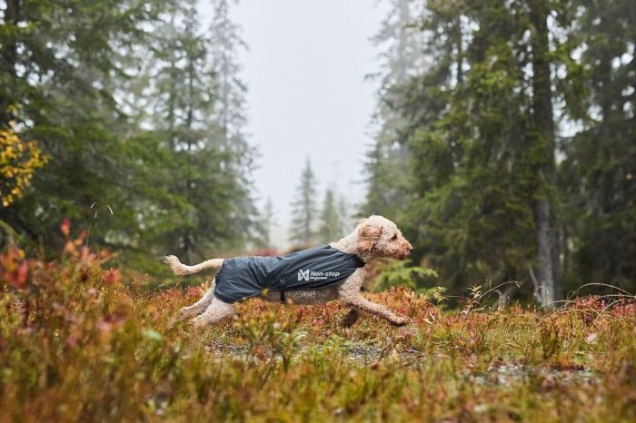 Куртка для собак Trail light Non-stop dogwear Сірий 60