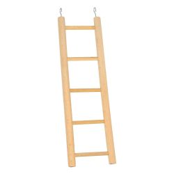 Сходи для птахів, Лорі 025 