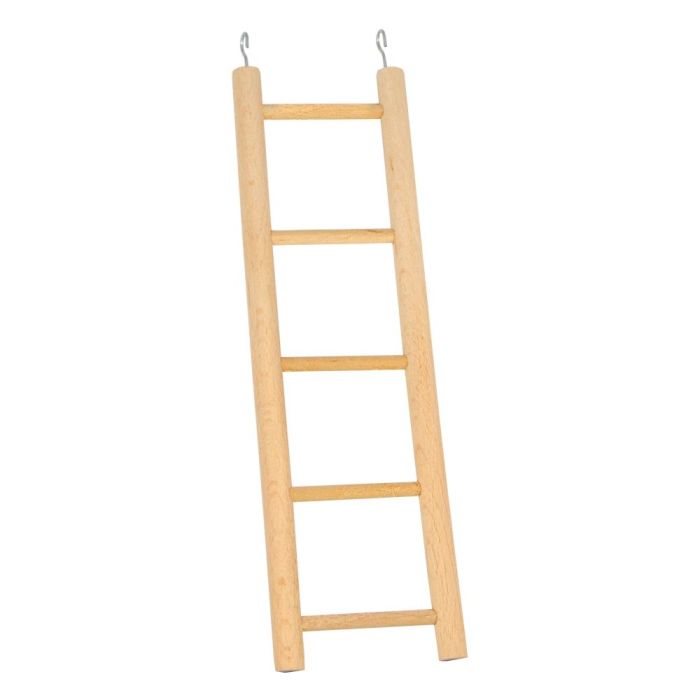 Сходи для птахів, Лорі 025 