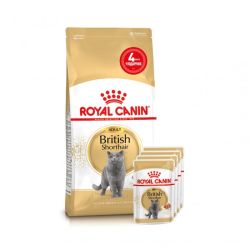 АКЦІЯ Royal Canin British shorthair корм для кішок британська короткошерста 2 кг+ 4 паучі 
