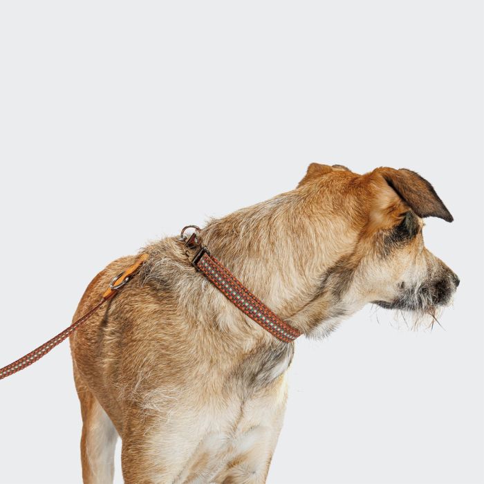 Повідець для собак Cloud7 Prater Коричневий L