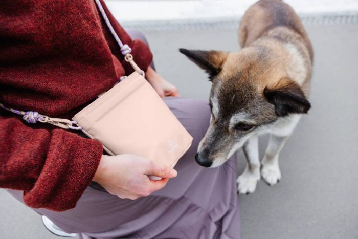 Сумка для ласощів і аксесуарів собак Palopa Karl M Ніжно-рожевий