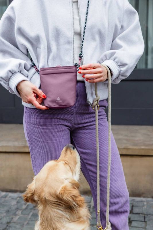 Сумка для ласощів і аксесуарів собак Palopa Karl M Ягідний