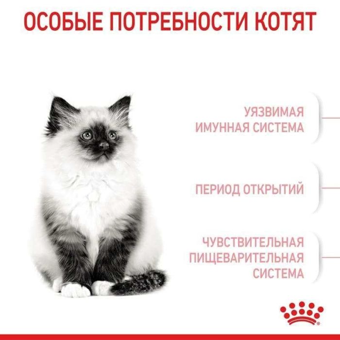 АКЦІЯ Royal Canin Kitten для кошенят на кожен день (до 12 місяців) набір корму 2 кг + 4 паучі 