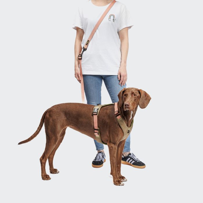 Повідець вільні руки для собак Cloud7 L-1- Hands-Free-Leash AKTIV Персиковий L