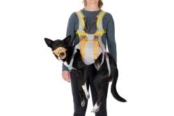 Набір для евакуації собаки Ruffwear BackTrak™ Сірий L