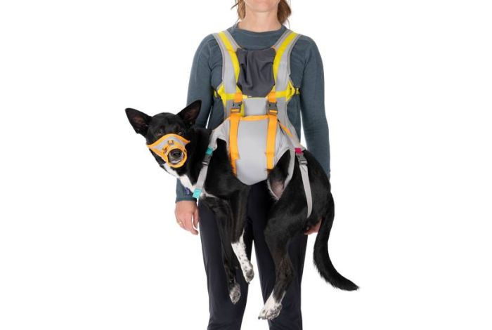 Набір для евакуації собаки Ruffwear BackTrak™ Сірий L
