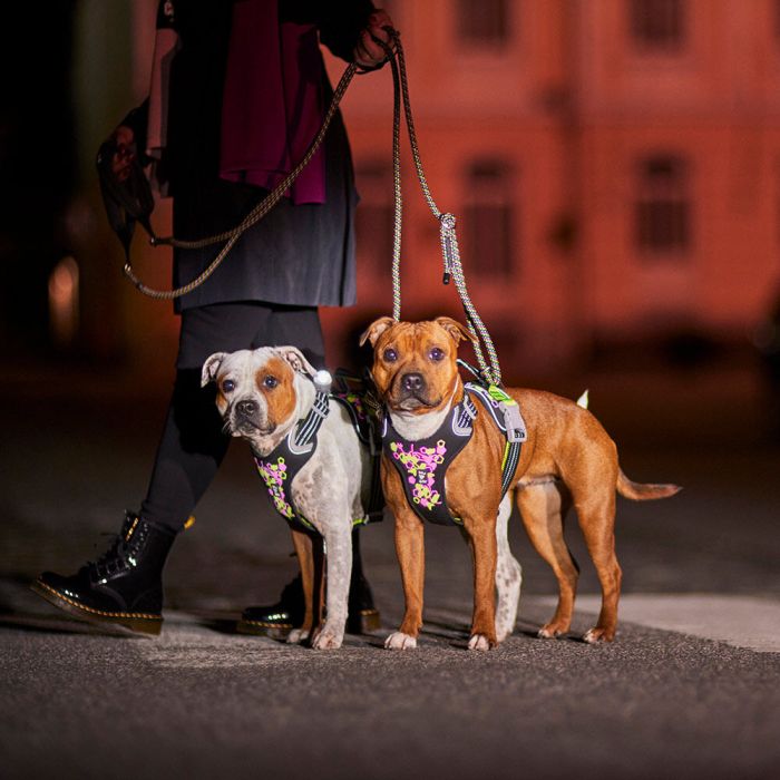 Шлейка пом'якшена для собак Hurtta Weekend Warrior Neon Harness II ECO Лакрична 65-80