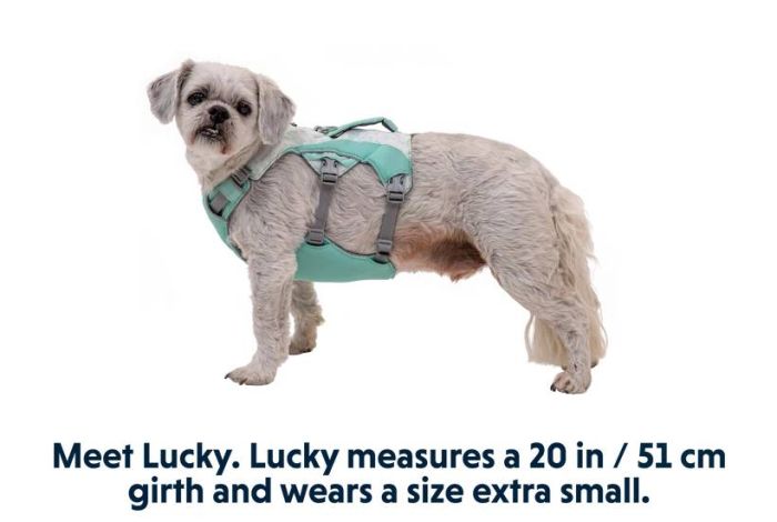 Охолоджувальна шлейка для собак Ruffwear Swamp Cooler™ M 69-81 см Зелений